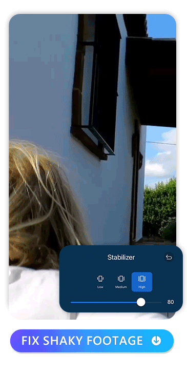 PowerDirector Interface