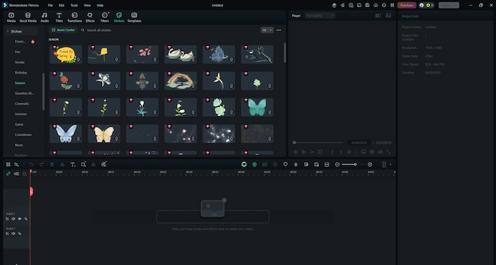Avid Media Composer Express