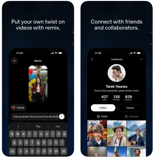 Sora app remix
