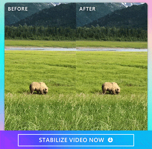 stablize