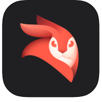 Videoleap Logo