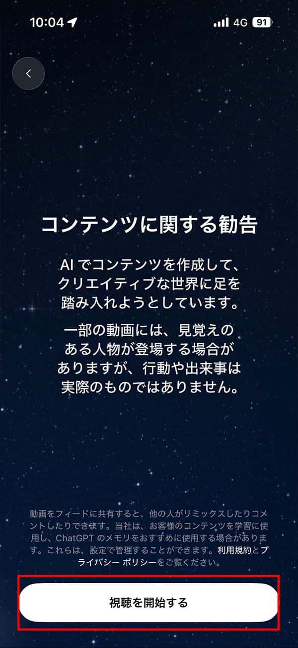 Sora 警告事項