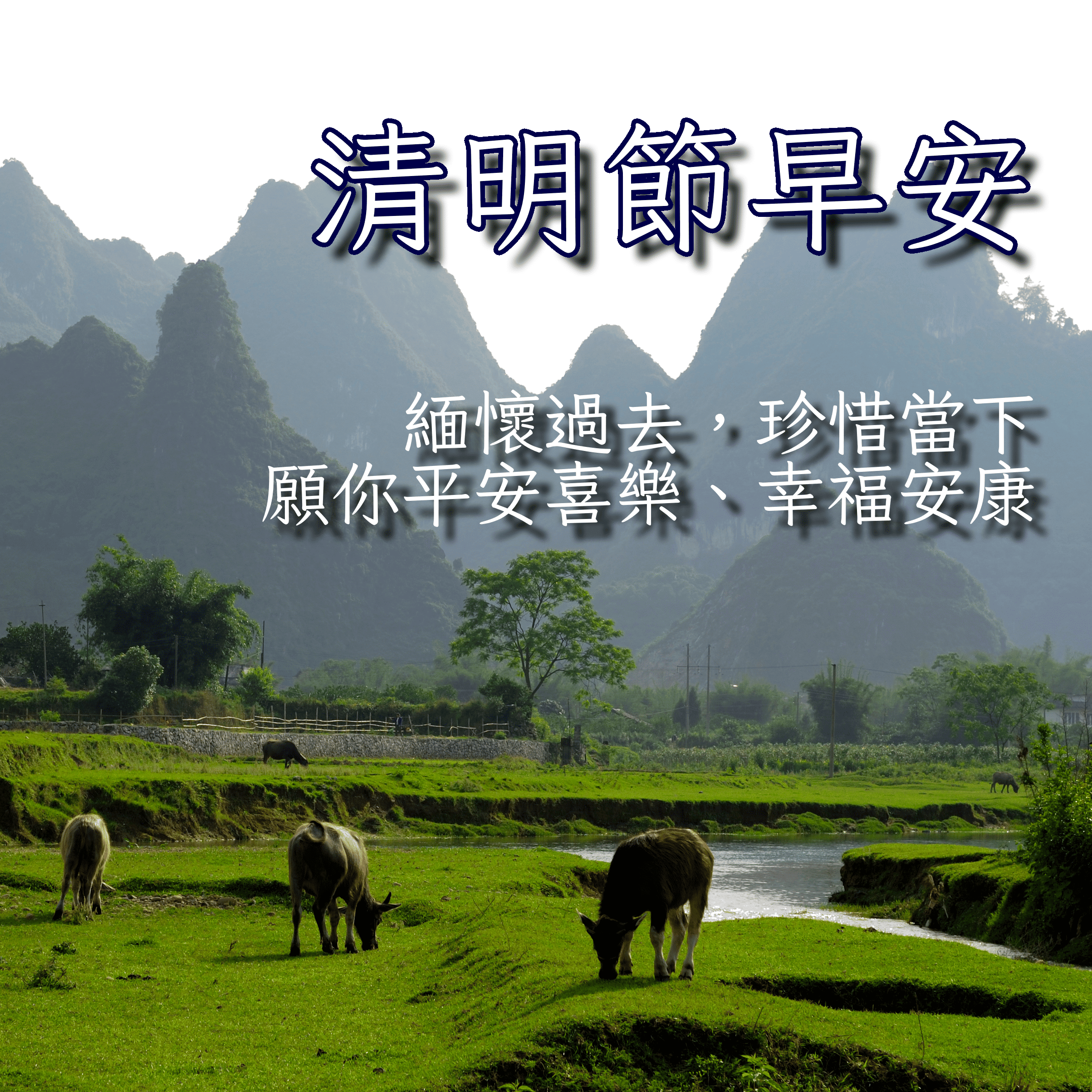 清明節早安圖下載