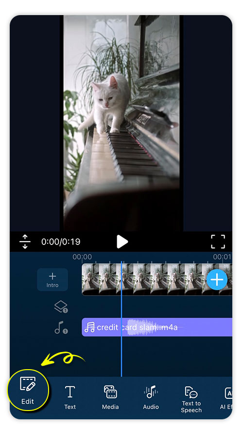 New Project with PowerDirector