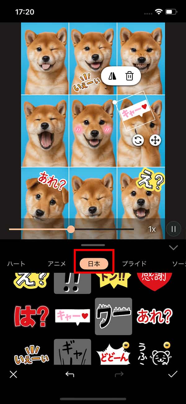 犬証明写真アプリで加工する方法3