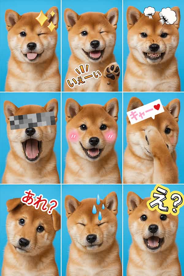 犬証明写真アプリで加工する方法4