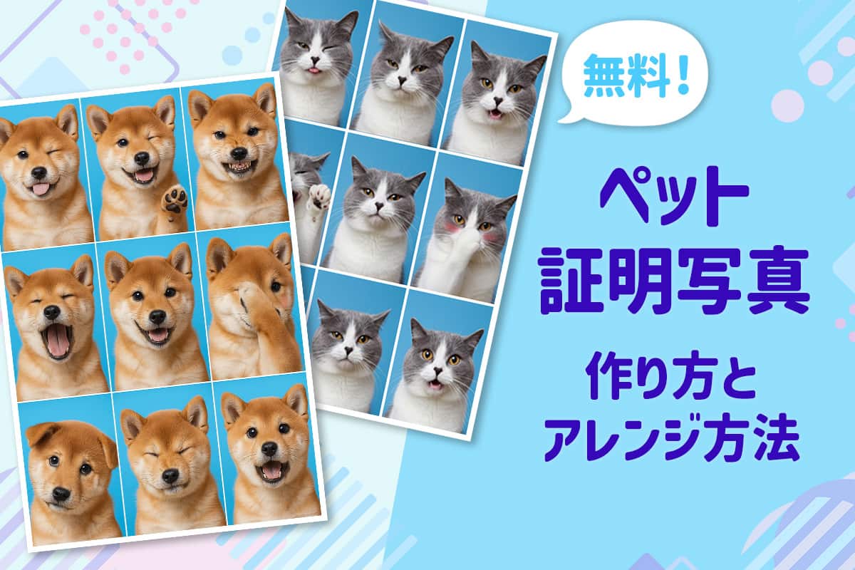 【無料】話題のペット証明写真の作り方！アレンジ方法も解説