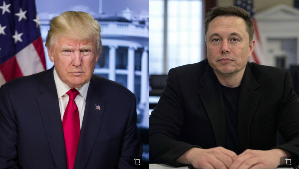 MyEdit：線上 AI 影片生成