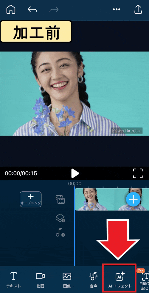 PowerDirector AIアート サンプル1