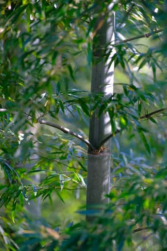 編集前の元画像