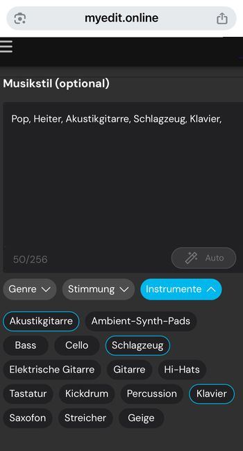Musikrichtung und Instrumentierung festlegen