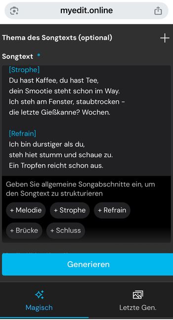 Gebe deinen eigenen Songtext in MyEdit ein