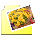 簡単デジカメ写真整理