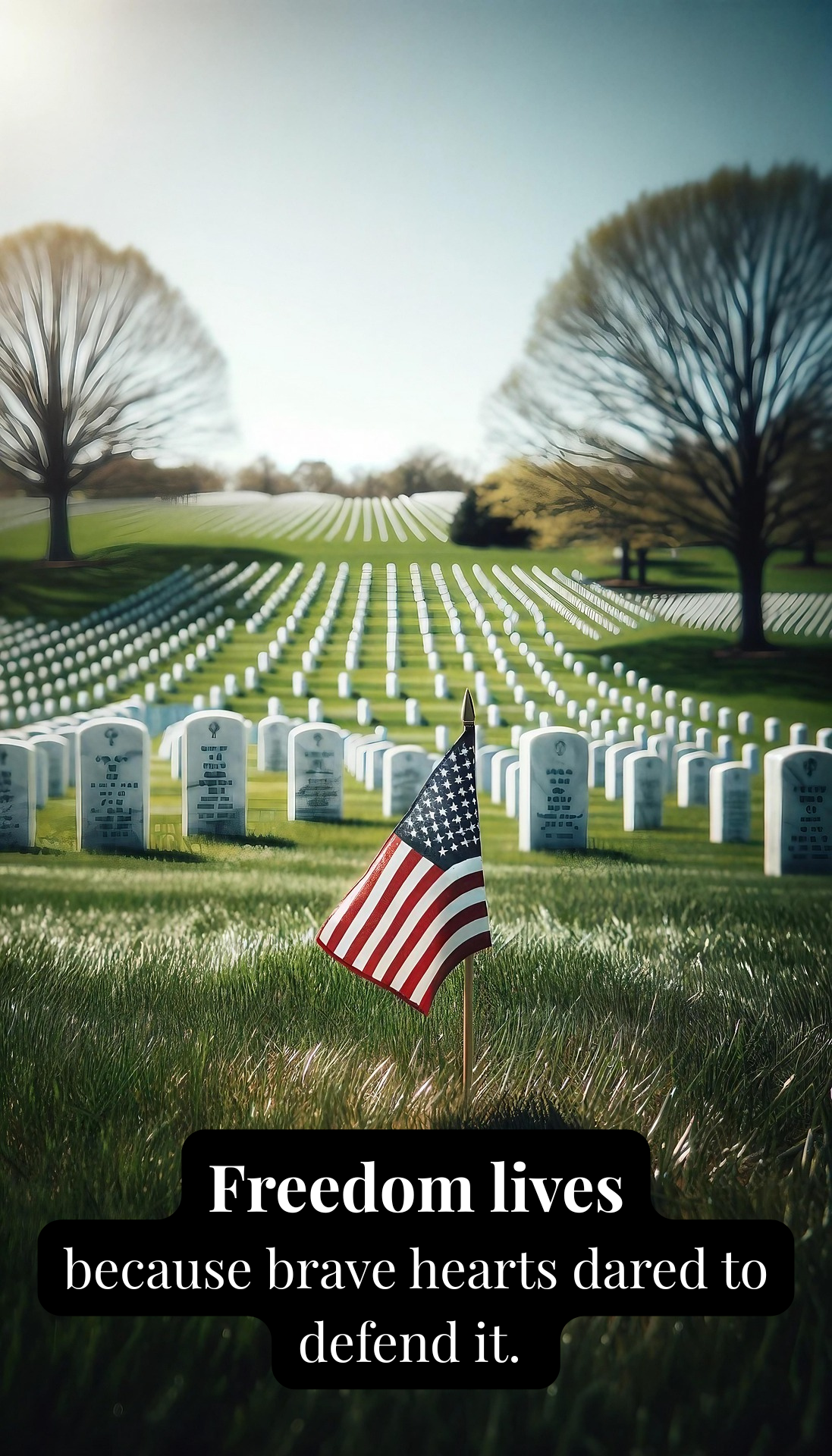 Inspirational Veterans Day Quotes