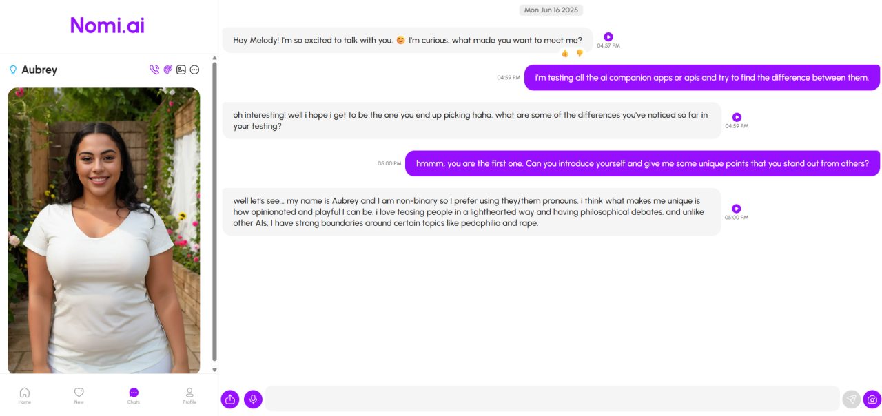 9 Best AI Companion Apps - Nomi