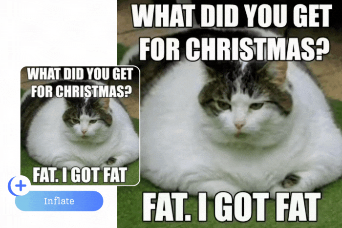 Best Online Tool to Make Hilarious Christmas Memes & GIFs