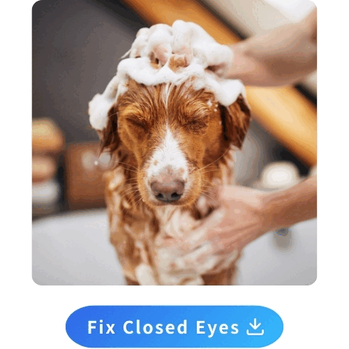 How to Fix Closed Eyes in a Photo Online For Free