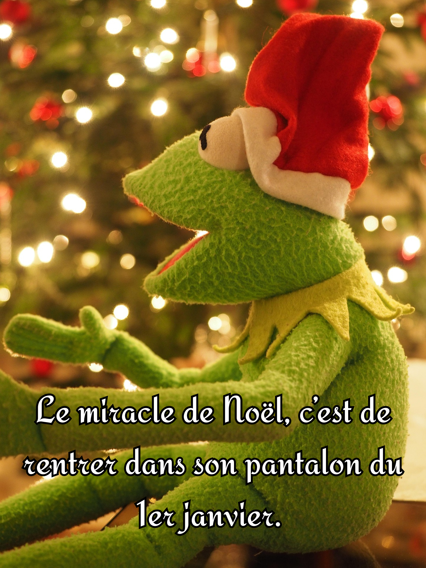 Citations de Noël drôles