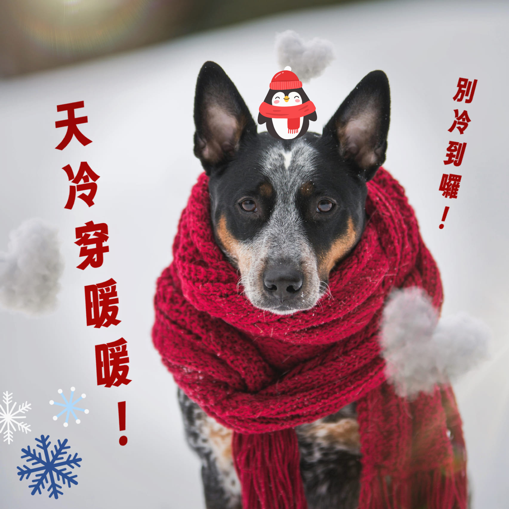 天氣冷早安圖/祝福圖