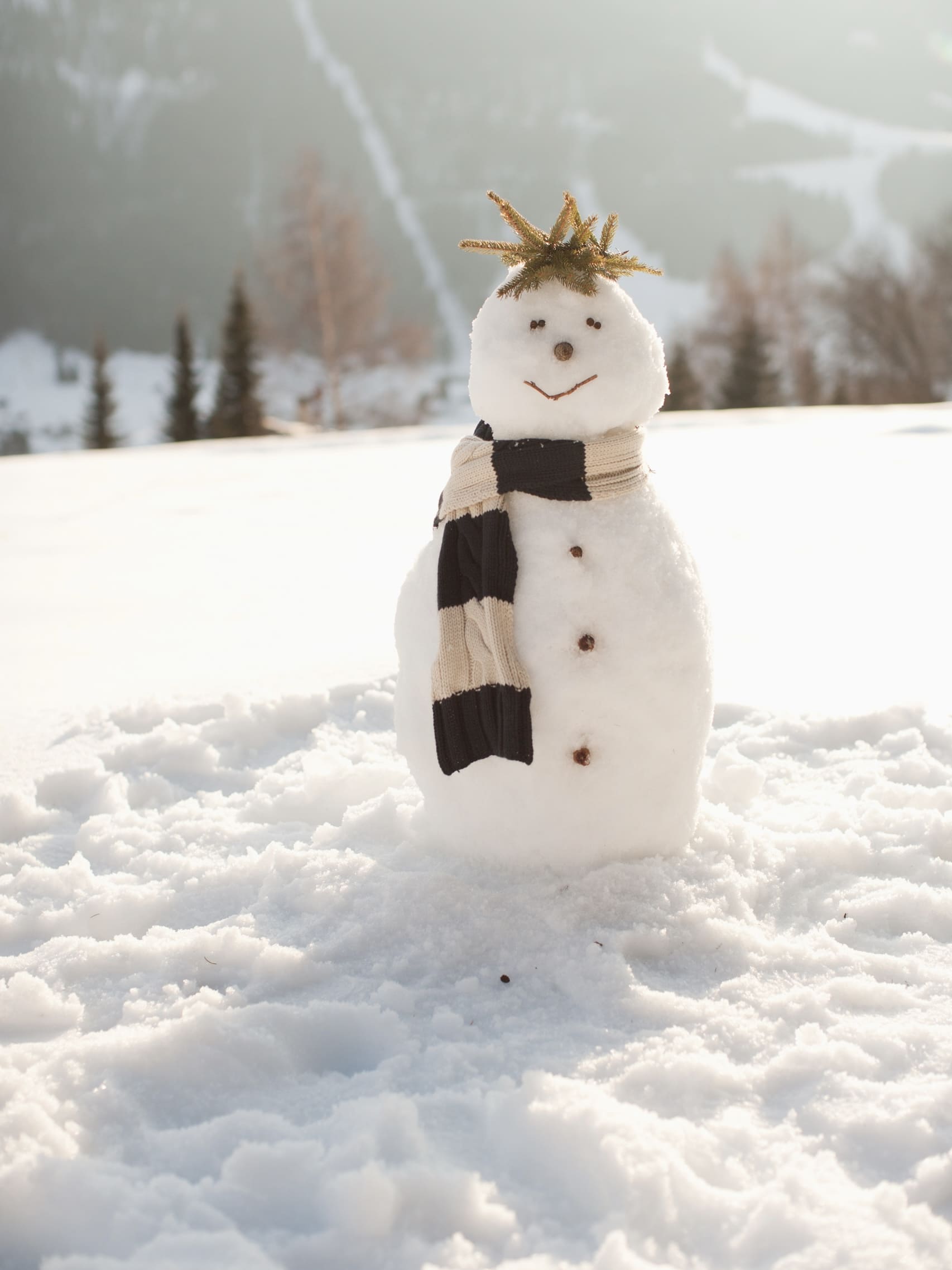 天氣冷問候圖案素材