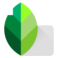 Snapseed App Logo