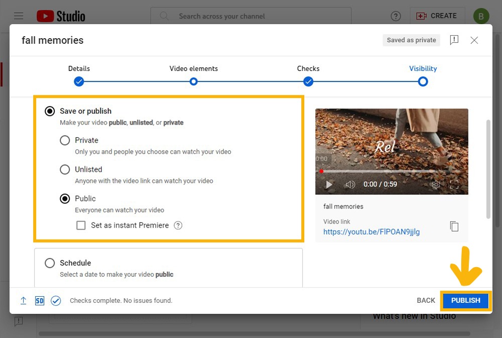 YouTube Studio - Publish