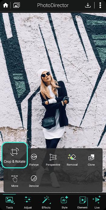 PhotoDirector - Crop & Rotate
