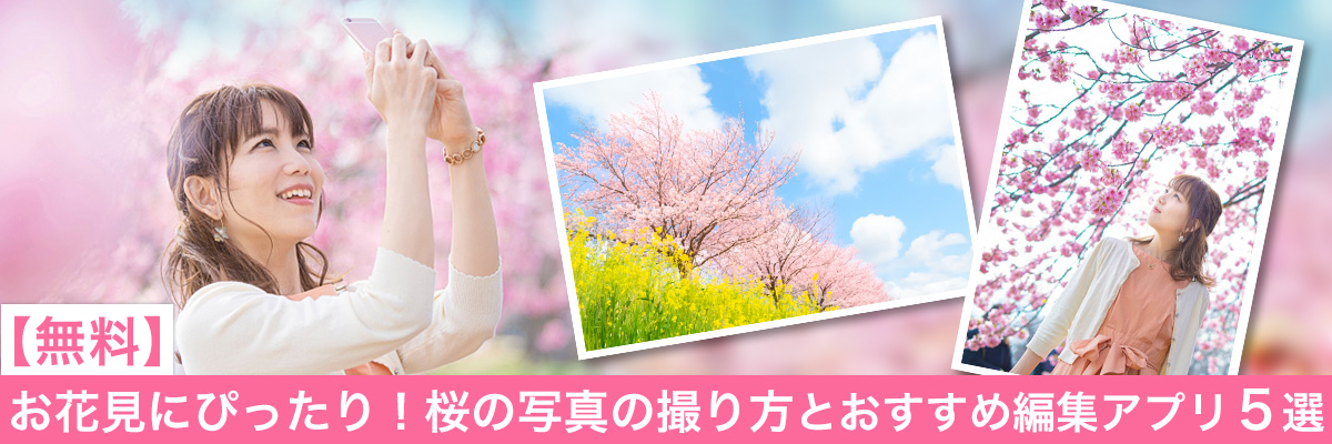 お花見にぴったり！桜の写真を撮るコツとおすすめ写真編集アプリ５選