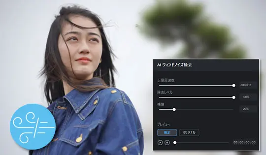 AI ウィンド除去