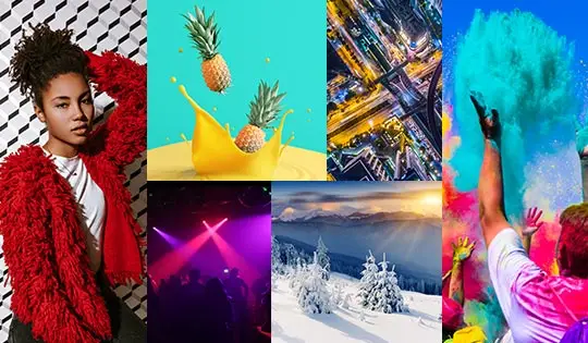 Royalty-Free Stock Library