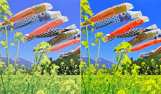 カラーエンハンスメント