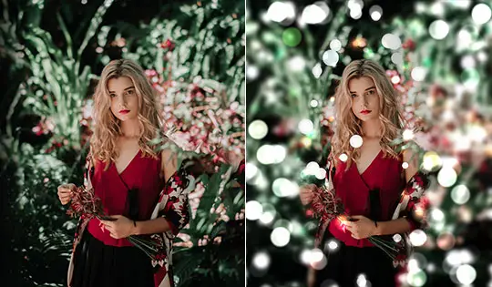 Bokeh