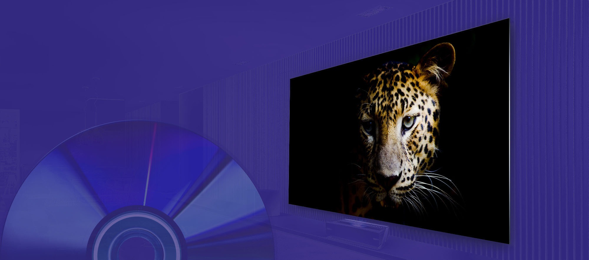 DVD playback